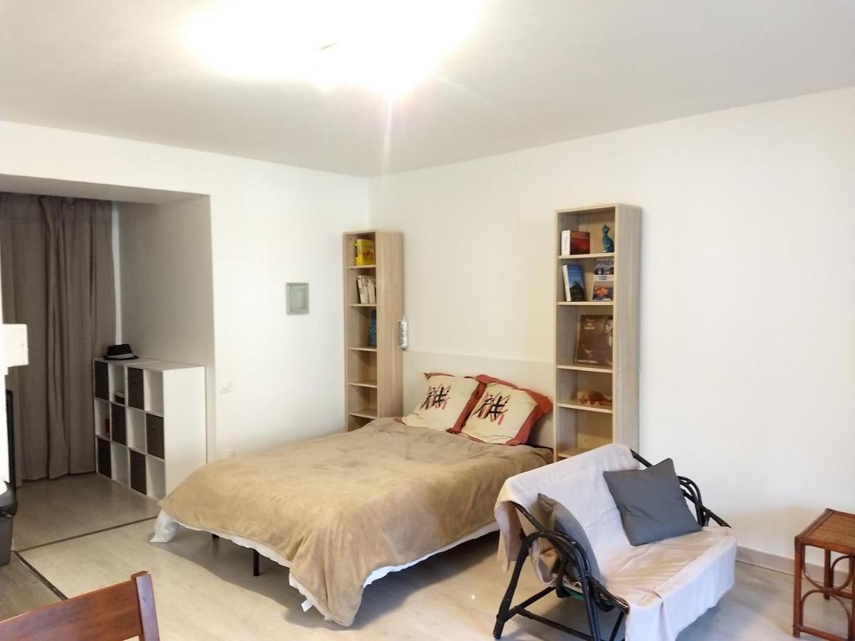 Le Petit Nid Apartment Montgaillard  Екстериор снимка